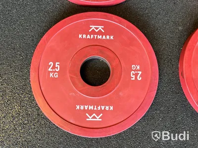 4 st viktskivor - 2,5 kg