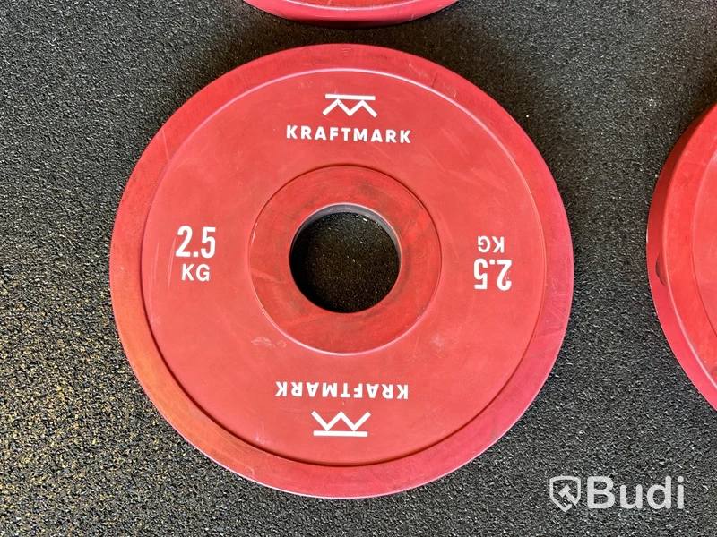 4 st viktskivor - 2,5 kg