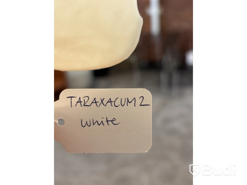 Taklampa Flos Taraxacum S2. Ord. pris inkl. moms: ca 26 930 kr
