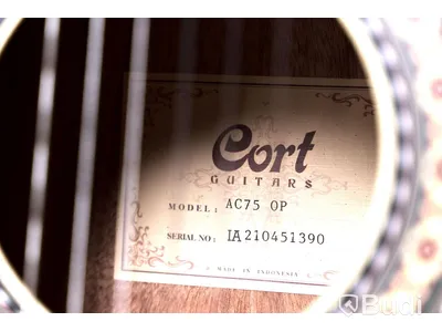 Akustisk Gitarr - Cort AC75 OP. Ny.