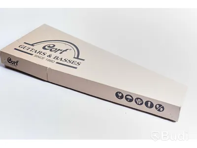 Elgitarr - Cort G110