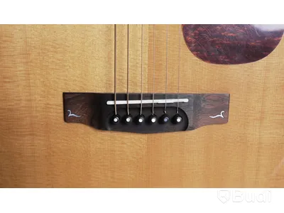 Akustisk gitarr - Cort Gold D6 Natural. Nypris ca 8000 kr. Ny.