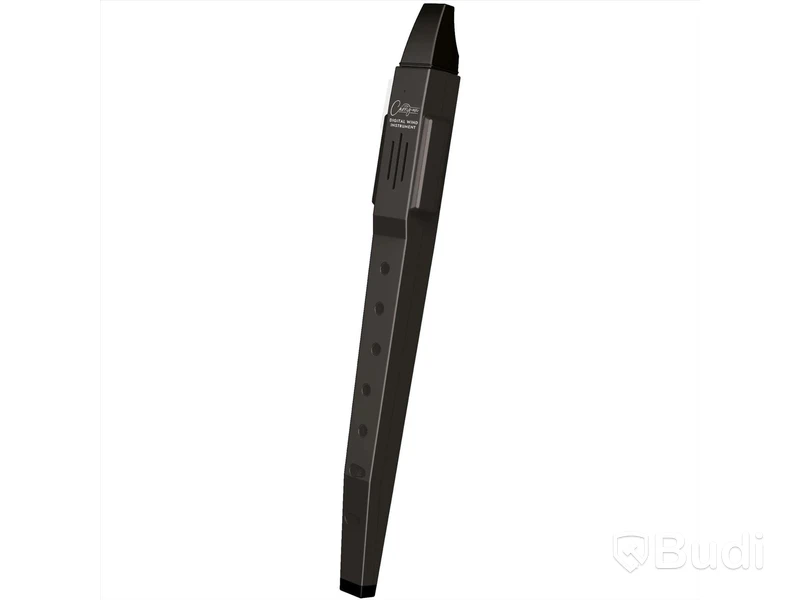 Blåsinstrument - Blackstar Carry On Digital Wind Instrument Black, NY. Nypris ca 1000kr
