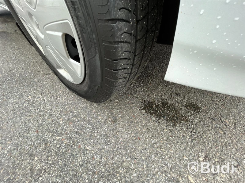 Lätt lastbil Ford Transit Custom 300 2.0 | EcoBlue | SelectShift | 130hk | 2020