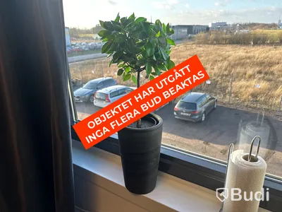 6 st. mörkläggningsgardiner och 3 st. plastväxter