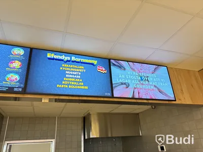 43” Menymonitorer Samsung QB43R-B - 8 st