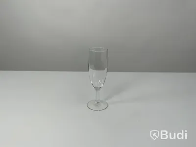 41x Champagneglas inkl back