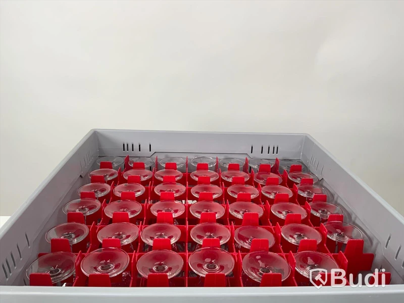 41x Champagneglas inkl back