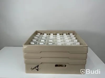 11x Champagneglas inkl back