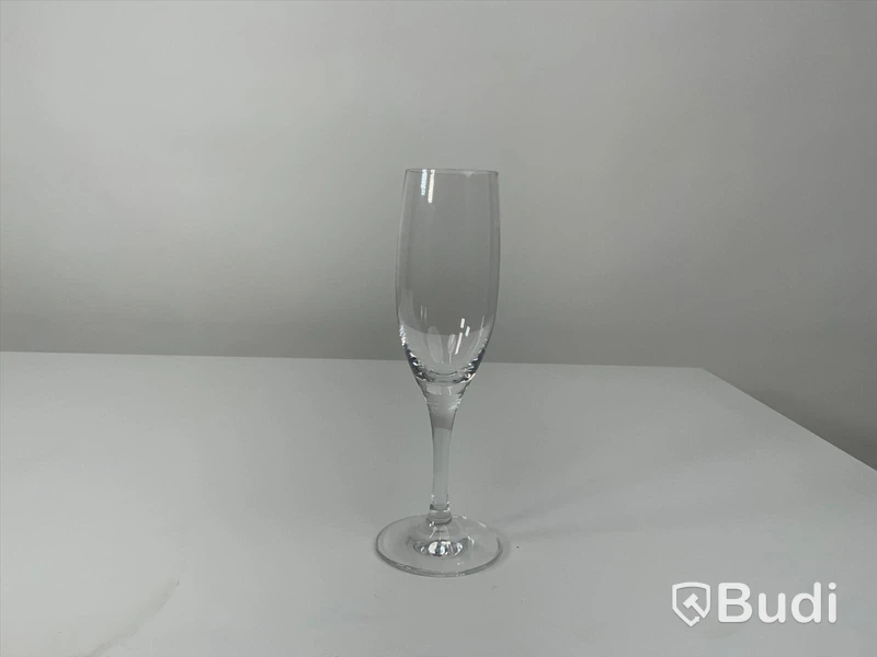 11x Champagneglas inkl back