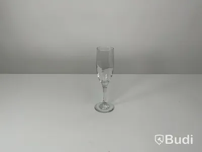 20x champagneglas inkl back