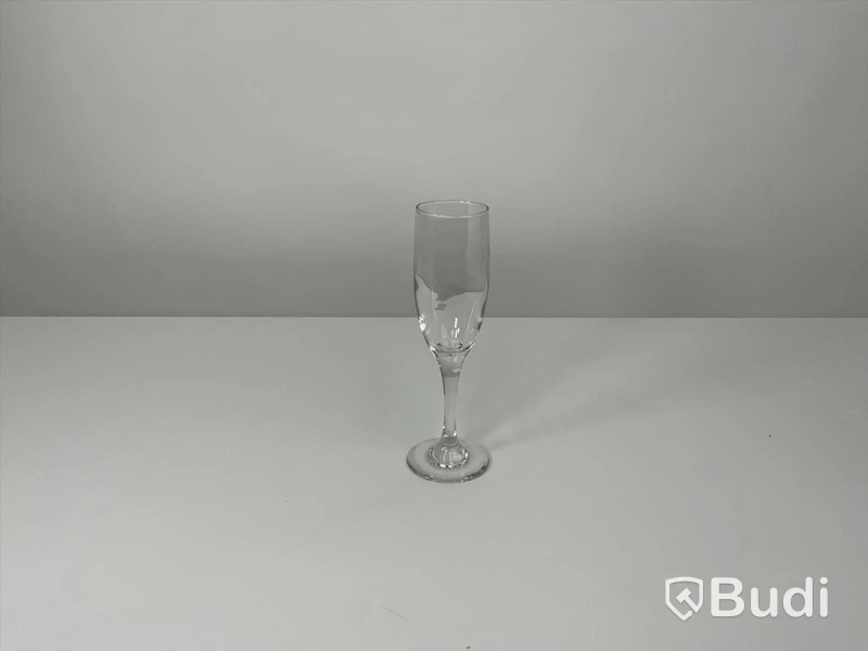 20x champagneglas inkl back