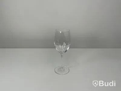 20x champagneglas inkl back