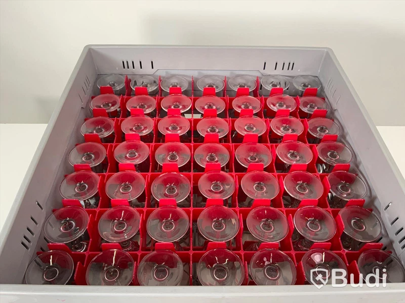 49x champagneglas inkl back