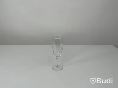 49x champagneglas inkl back