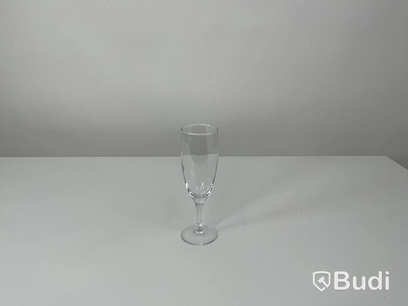 49x champagneglas inkl back