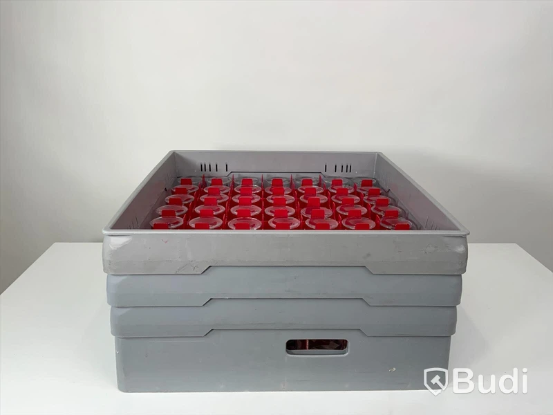 49x champagneglas inkl back