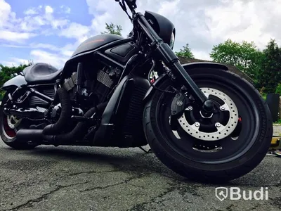 Harley Davidson Nightrod Special | 2011 | Airride