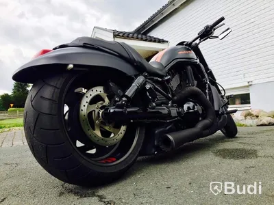 Harley Davidson Nightrod Special | 2011 | Airride