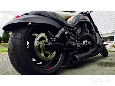 Harley Davidson Nightrod Special | 2011 | Airride