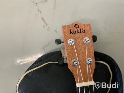 Ukelele Koki o Mahogany Concert med softcase