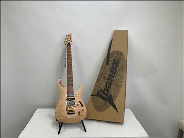 Ibanez elgitarr EGEN8-PLB