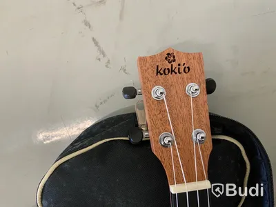 Ukelele Koki o Mahogany Concert med softcase