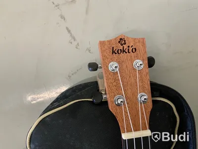 Ukelele Koki o Mahogany Concert med softcase