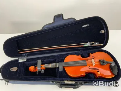 Arirang fiol 1/2 inkl Case