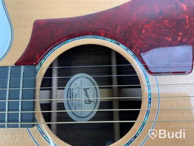 Gibson Hummingbird Rosewood AG