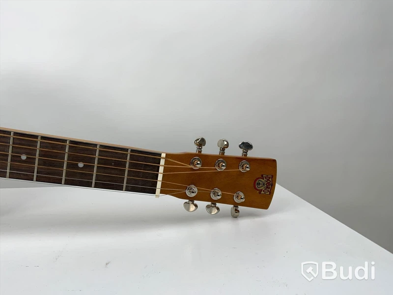 Epiphone Dobro Hound dog deluxe