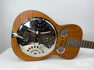 Epiphone Dobro Hound dog deluxe