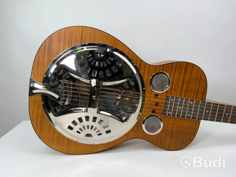 Epiphone Dobro Hound dog deluxe