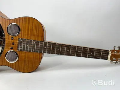 Epiphone Dobro Hound dog deluxe