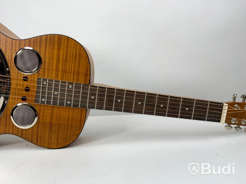 Epiphone Dobro Hound dog deluxe