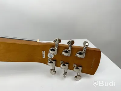 Epiphone Dobro Hound dog deluxe