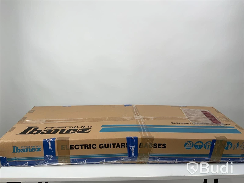 Epiphone Dobro Hound dog deluxe