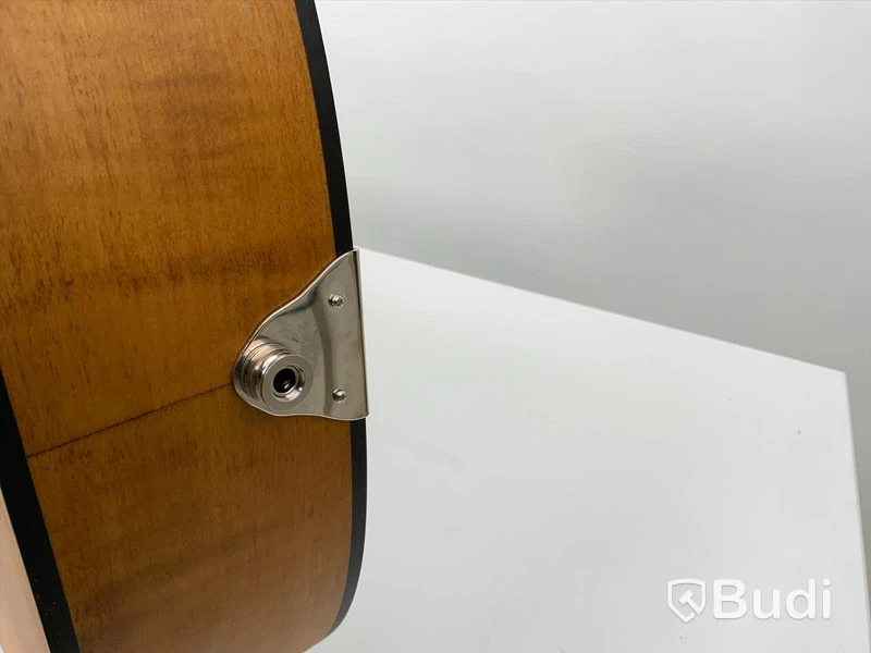 Epiphone Dobro Hound dog deluxe