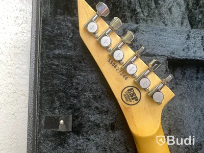 ESP V Standard Series i Hardcase