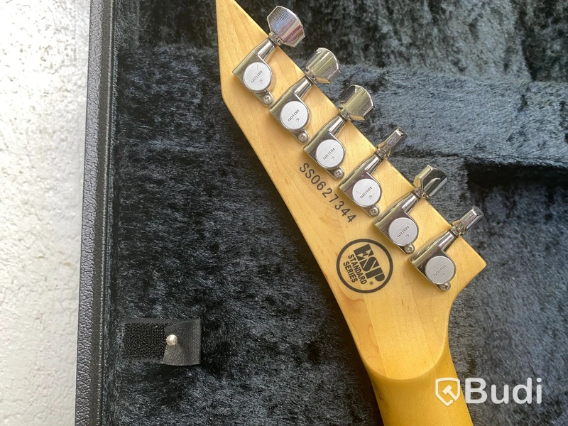 ESP V Standard Series i Hardcase