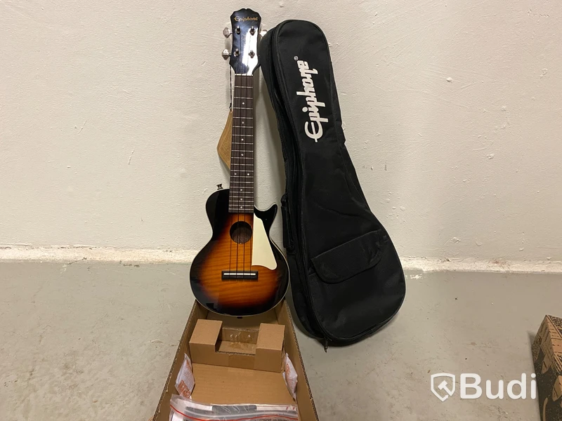 Gator Pro gigbag