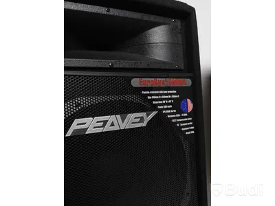 2 x Peavey EuroSys 500 RX