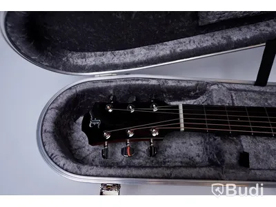 Gitarr / Furch Green DC-SR med preamp ink case