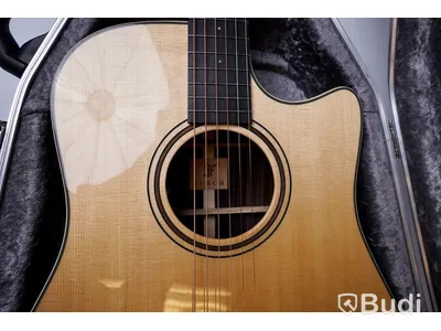 Gitarr / Furch Green DC-SR med preamp ink case