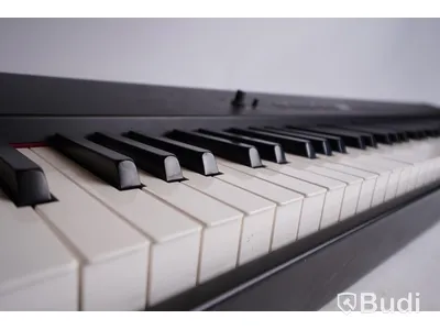 Digitalpiano Roland FP-4