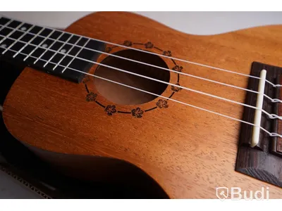 Ukulele 2st Kokio ink Bag