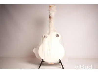Epiphone Wildkat Wild Royale w/Bigsby Pearl White, elgitarr oöppnad