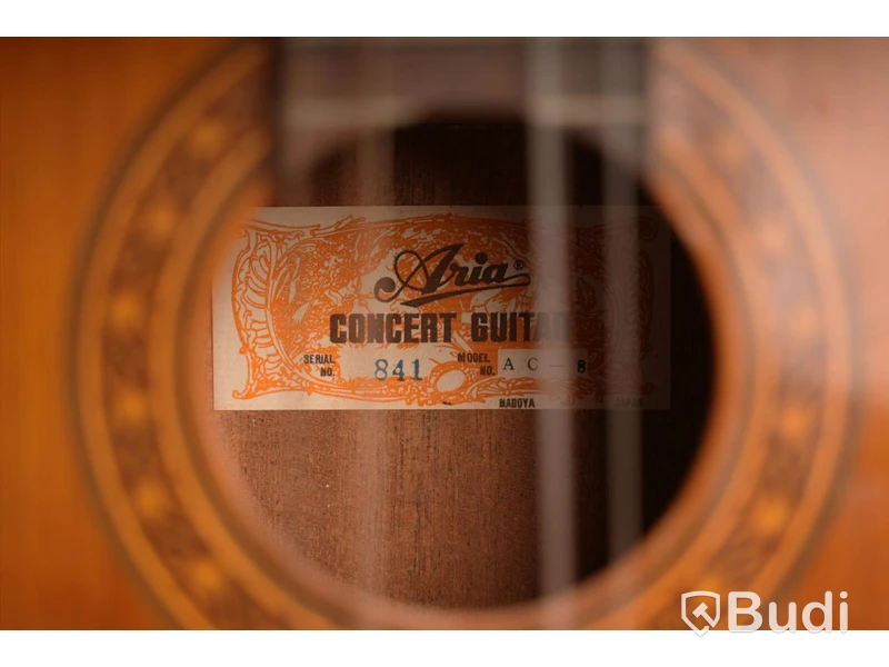 Aria AC-8 Concert Guitar, nylongitarr inkl. gitarrställ
