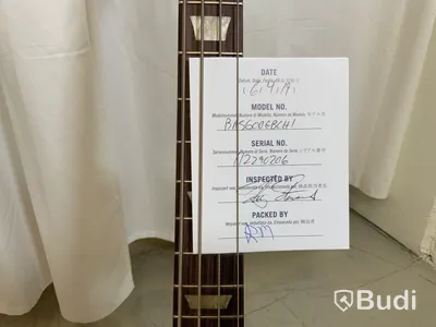 Elbas Gibson SG Standard