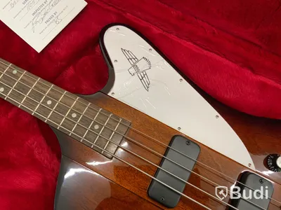 Elbas Gibson Thunderbird Bas i case